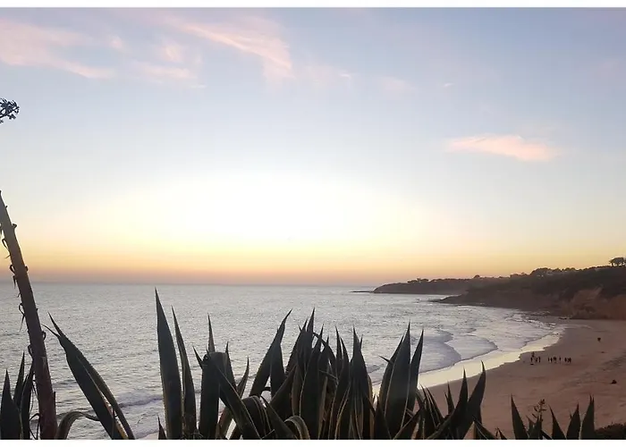 Margarida By Laranjal * Αλμπουφέιρα